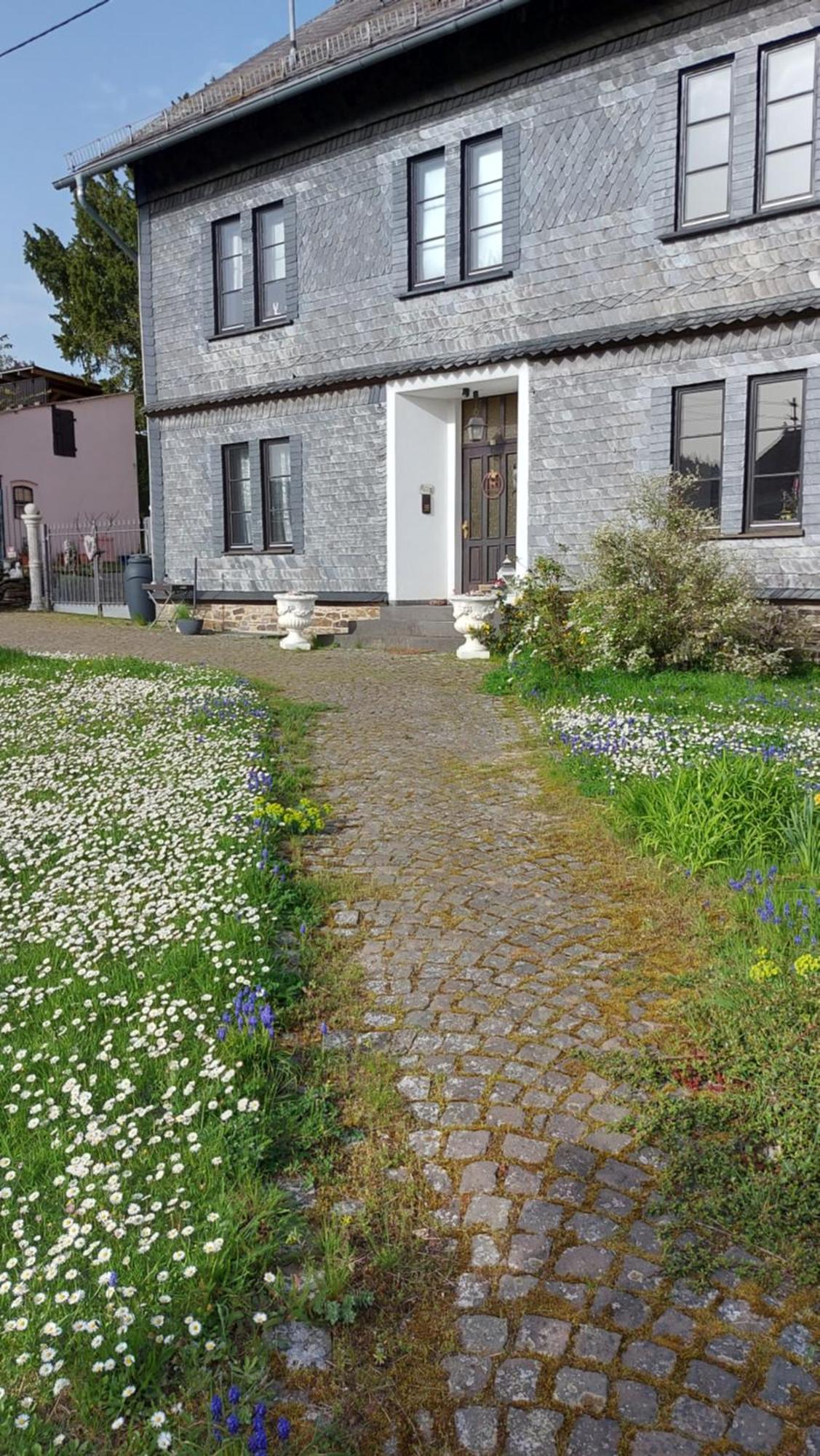 Zum Alten Pfarrhaus Damscheid Buitenkant foto