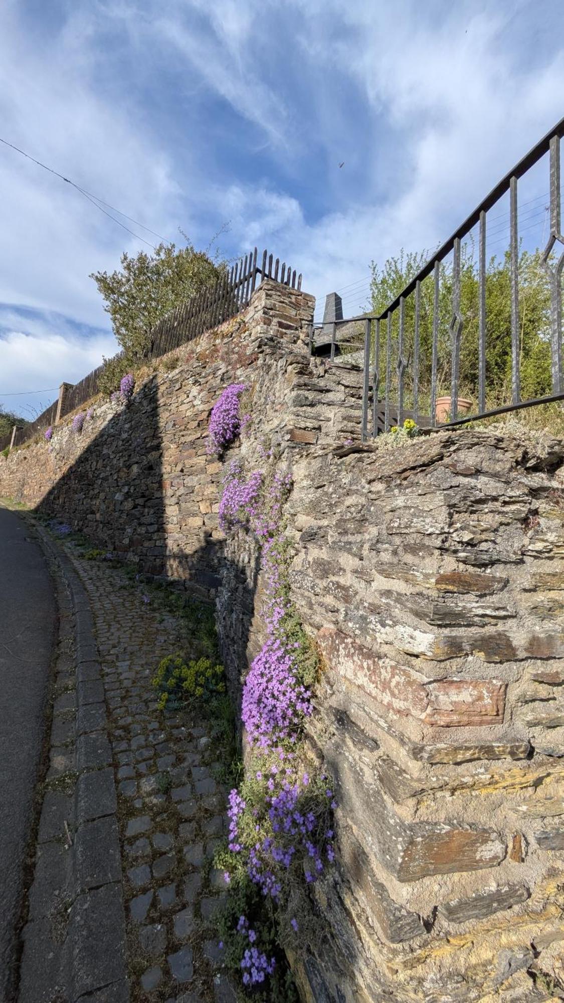 Zum Alten Pfarrhaus Damscheid Buitenkant foto